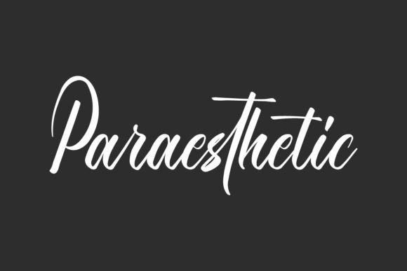 Paraesthetic: A Premium Script Font for Modern Campaign Design