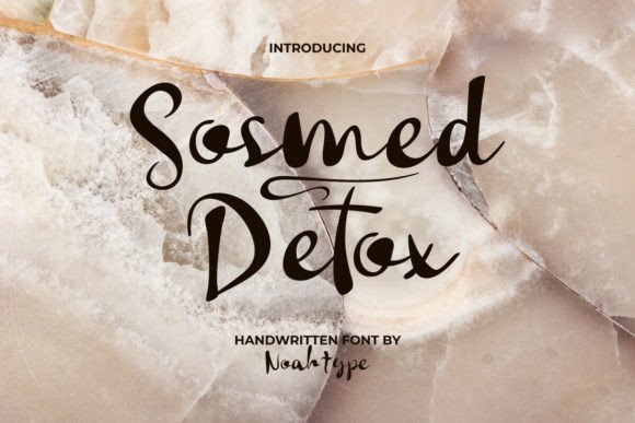 Socmed Detox: A Bold Script Typeface for Handmade Branding